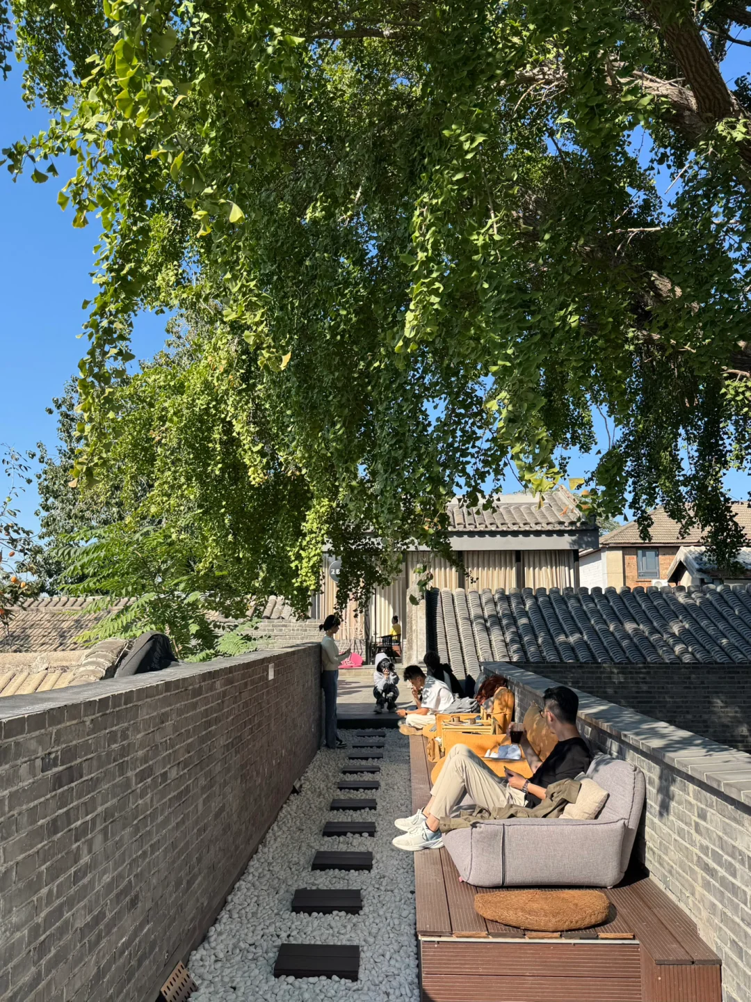 北京秋天🍂上房揭瓦才是正经事…！！
