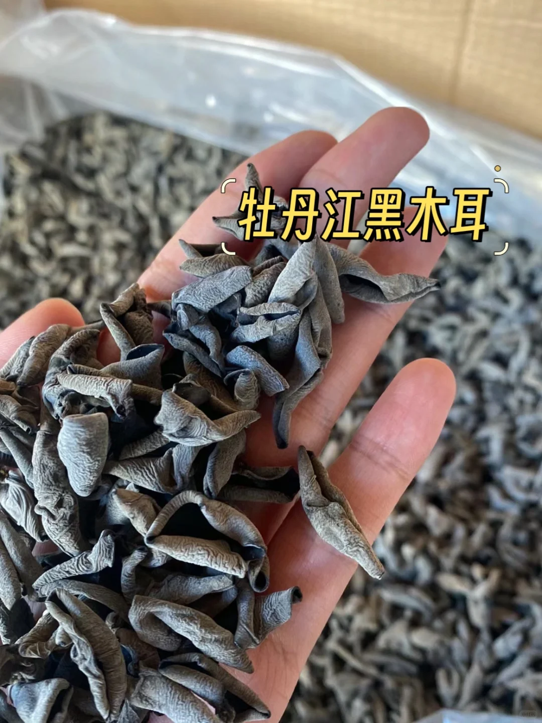 没想到东北秋耳应该这样泡❓