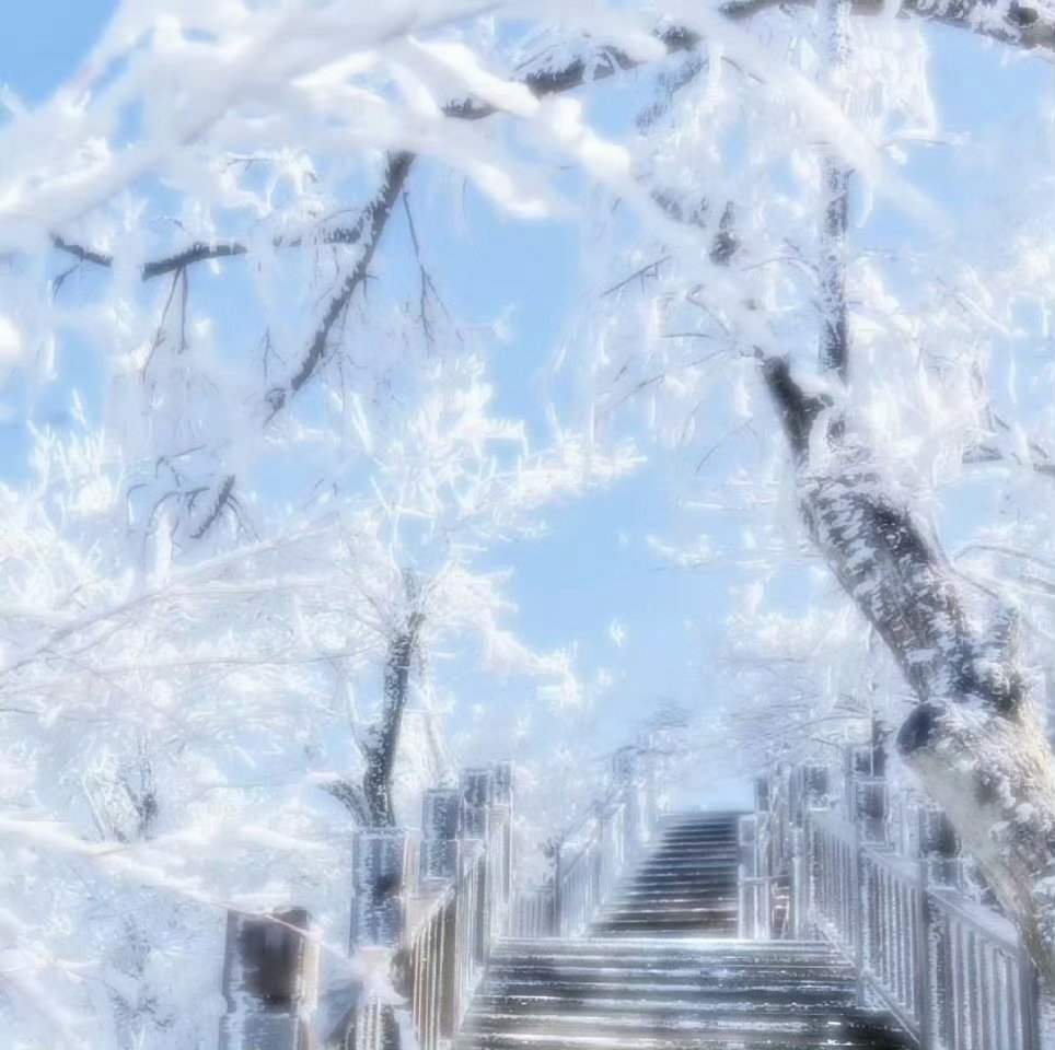 ˚⋆ꔫ 蝶 は羽ばたいて自由な魂と共鳴する˚☽ ⊹.˚        你在 我就