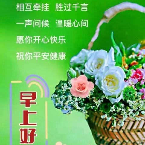放在心上的友谊，
是无价的。
记在心里的朋友，
是真诚的。
不是我执着，
而是您