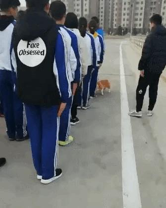 柯基：口袋里的零食，通通交出来！