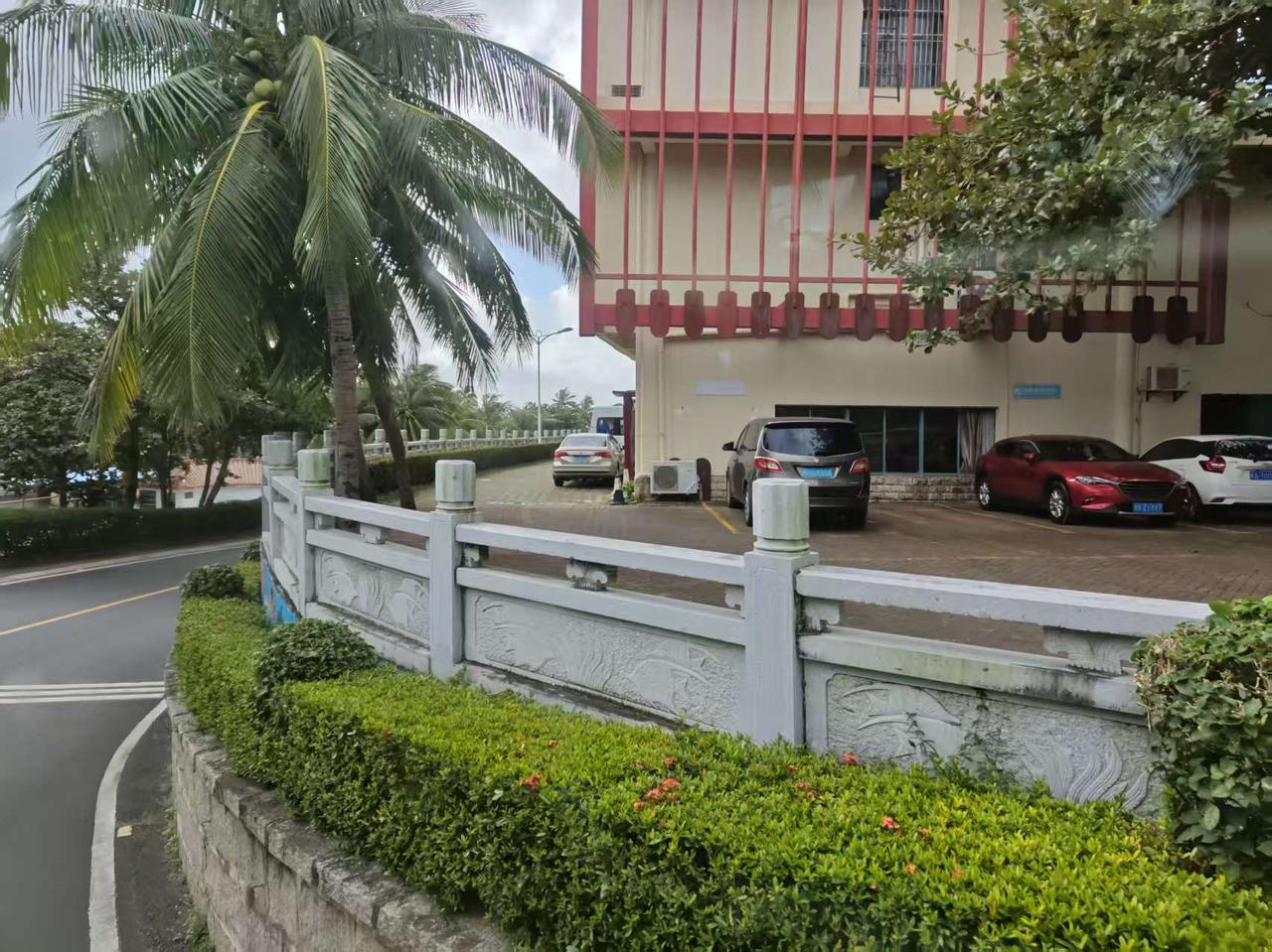 🌴 椰树为邻，红檐白栏相映成趣，湿润的海风裹着绿植的清香，转角就撞见海岛独有的