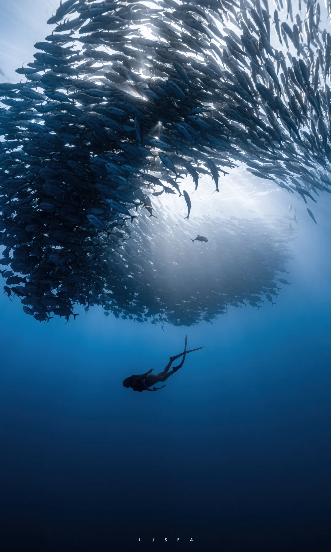 谁懂这张杰克风暴的含金量啊｜薄荷岛🇵🇭
