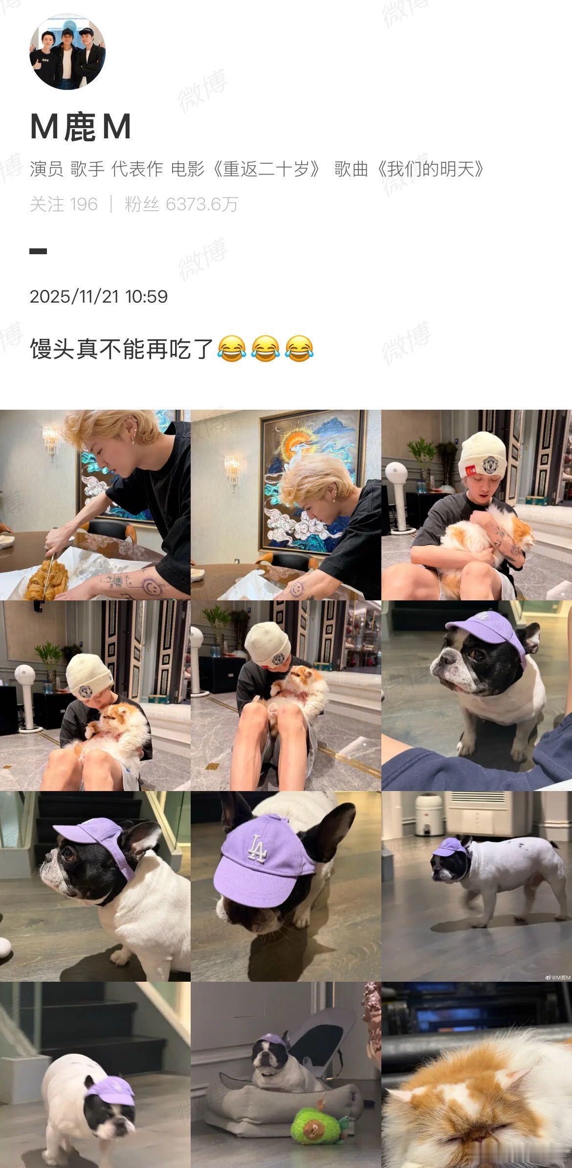 鹿晗瞒着馒头养狗，这剧情比偶像剧还精彩。馒头作为家里原住民，此刻内心OS：我倒要