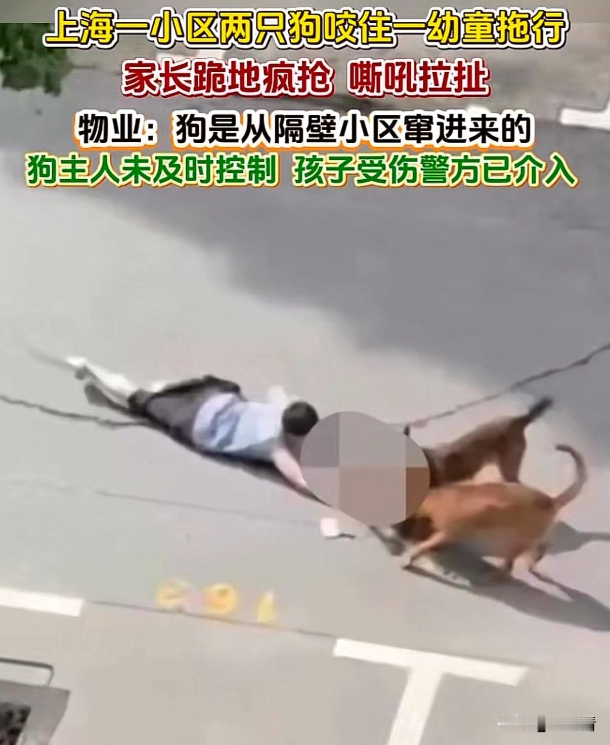 可怜的娃、可恶的狗、可恨的狗主人！像这样咬人的狗还是趁早处理掉吧，不然下一个遭映