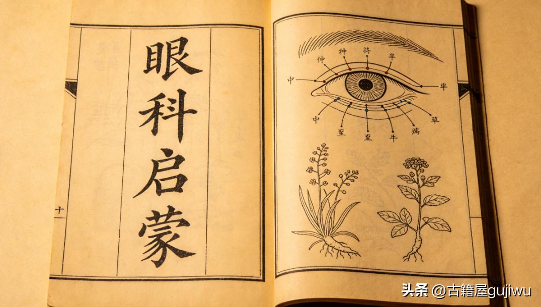 《眼科启蒙》页数:  364页
