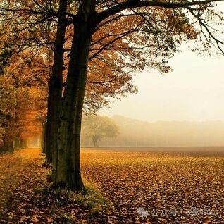 离乡
昨夜辞乡意未央，
千言凝绪绕肝肠。
孤身只影斜阳里，
前路迢遥念故乡。