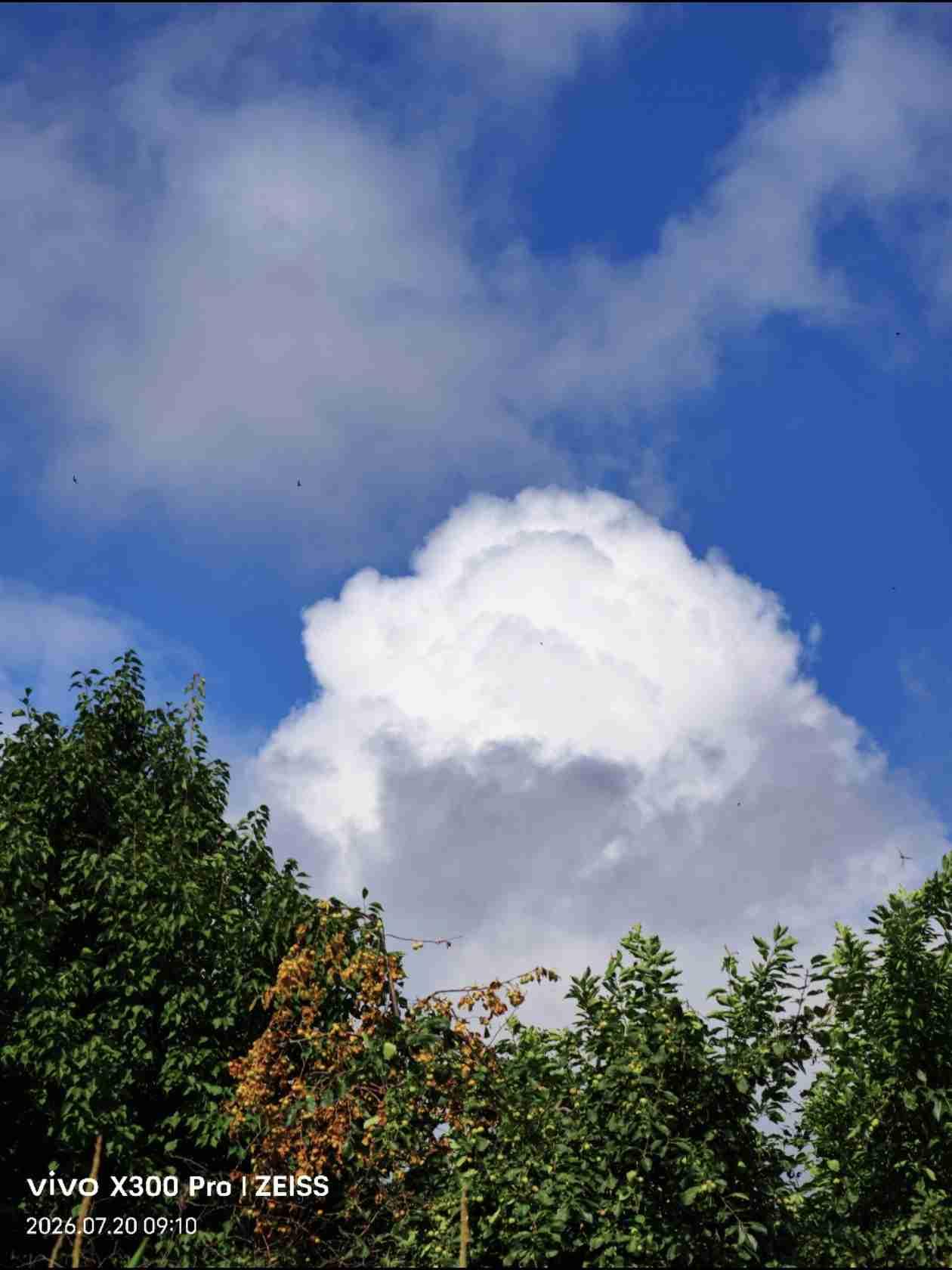 今天天气，早上有雾，白天阵雨，气温21度至31度，东南风2级，空气质量优。

适