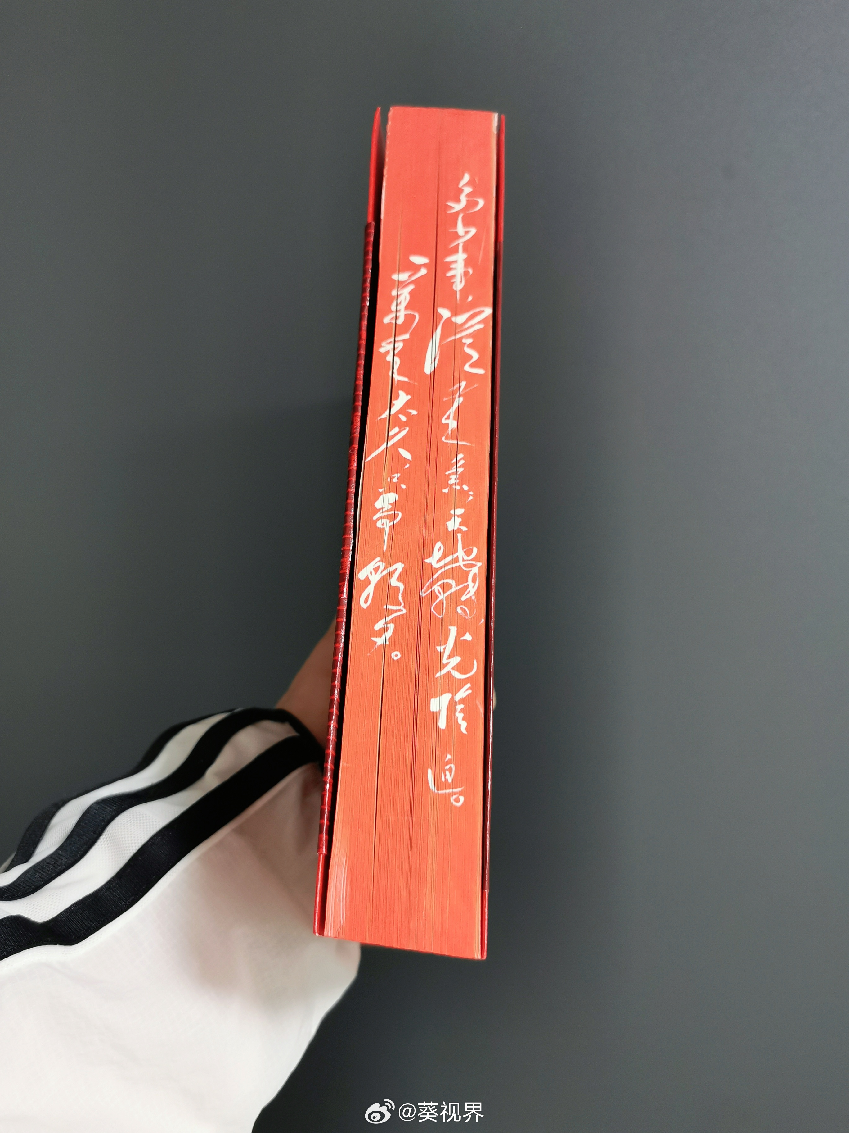 刚收到一本书。拆开包装，第一次见到“书口”也专门做了设计。写教员的书，红色书口的