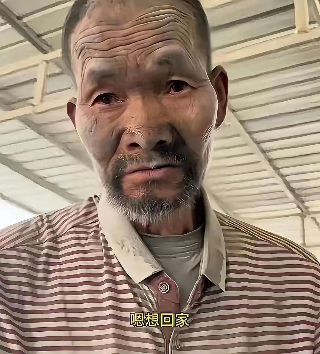 无法直视这位老人的眼睛，
眼神里含着泪，
看着就感觉好难过啊！

身体被粗暴的使