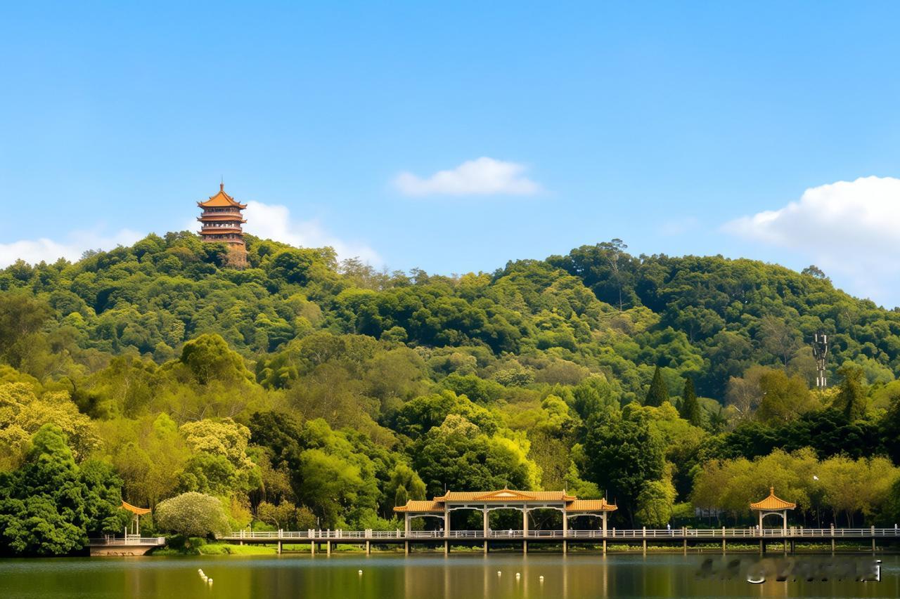《麓湖晴日：城与林的静谧诗篇》
   麓湖的晴日，是藏在城市深处的静谧诗篇。碧水