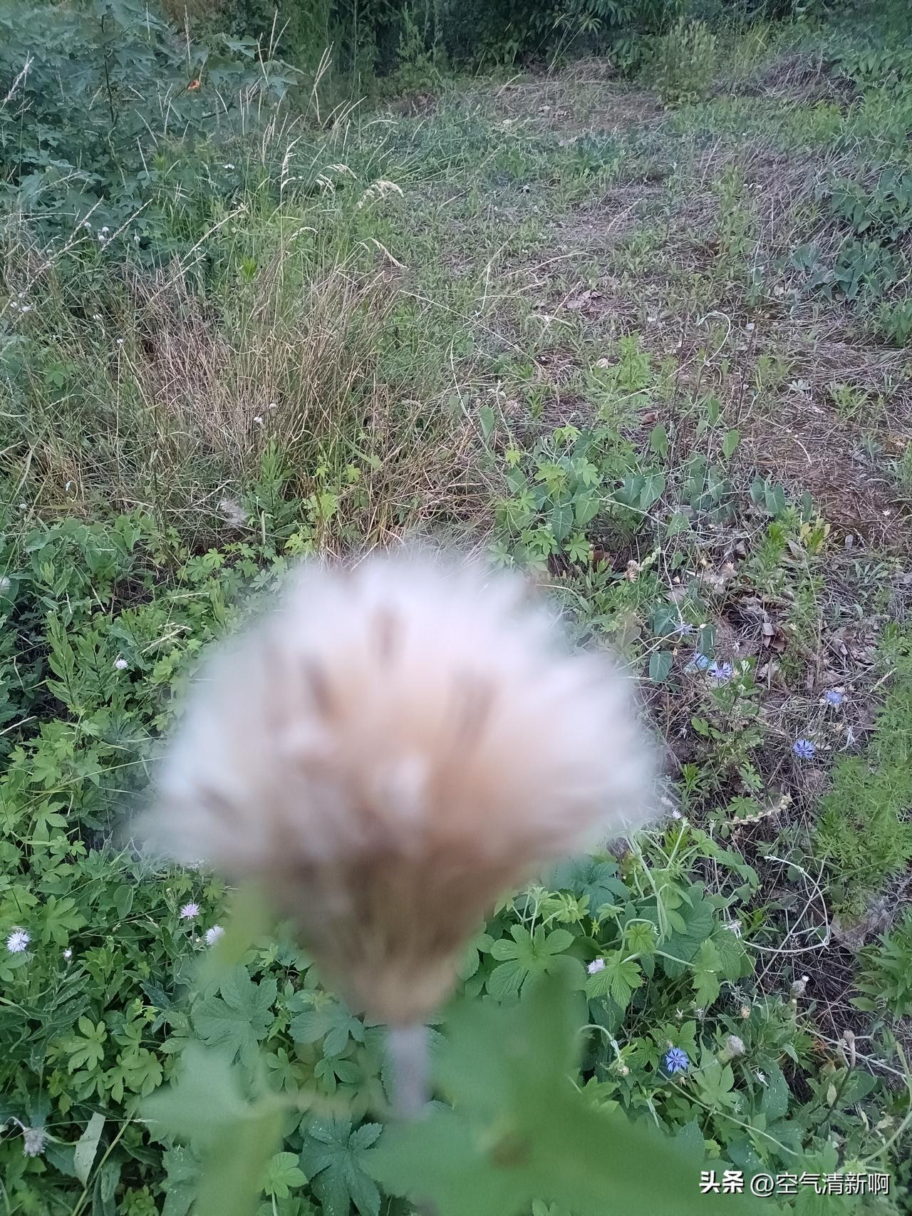 住了多年的房是别人的，

开了多年的车是别人的，

干了多年的工作是别人的，
