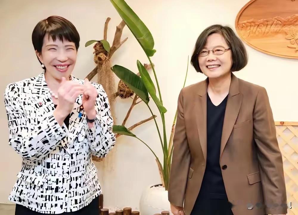 下台还作妖！蔡英文谄媚日本右翼，数典忘祖太可耻

    2月9日，已卸任的蔡英