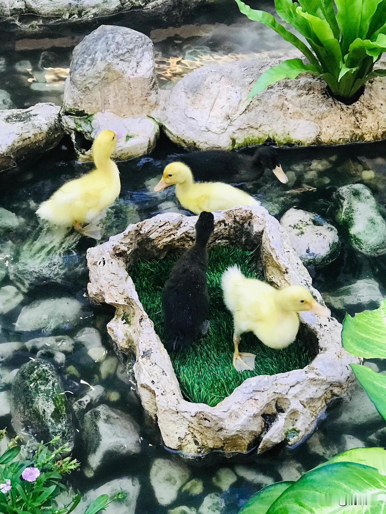 拍一张我的城市美景