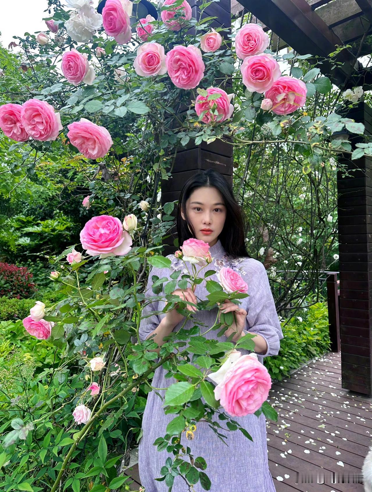 张馨予穿古风裙在自家花园徜徉！
5月7日，张馨予晒出一组在自家花园里的留影。几年