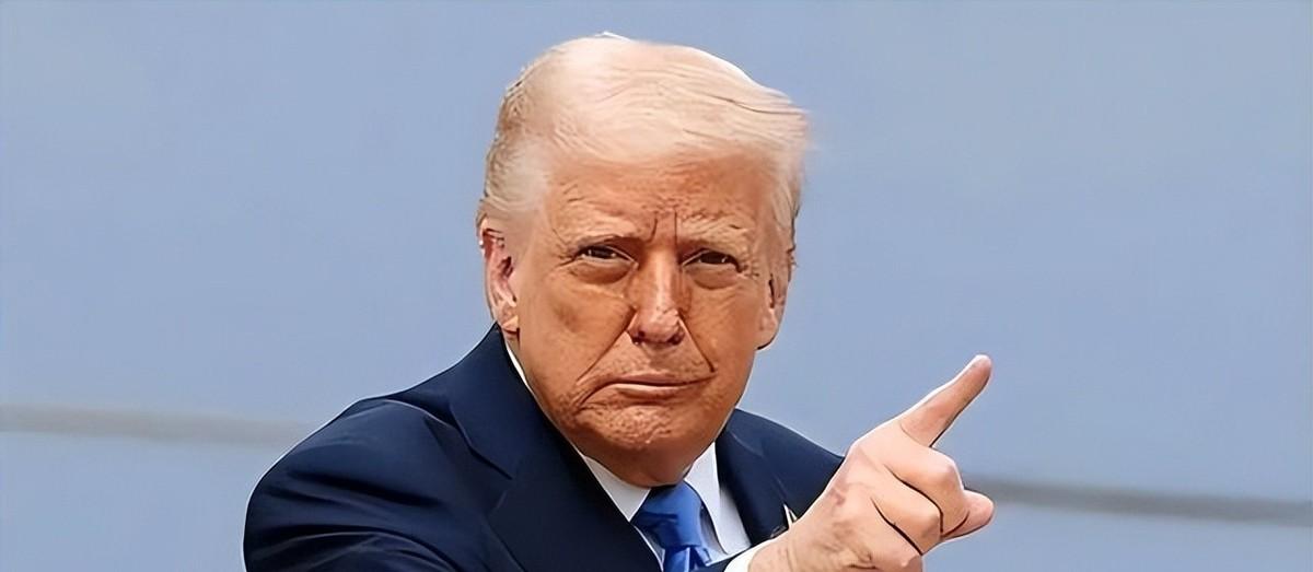 作为一个天天盯着国际新闻的老股民，看到金刻羽给特朗普支招“全面反向操作”，我第一