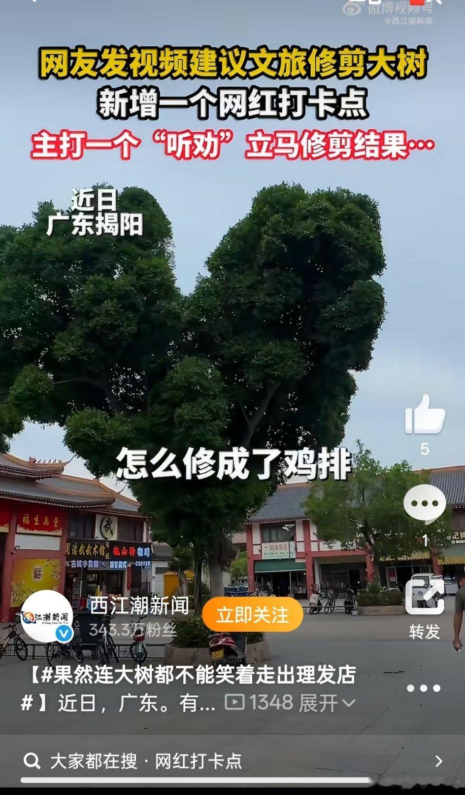 果然连大树都不能笑着走出理发店这手艺真的好丑