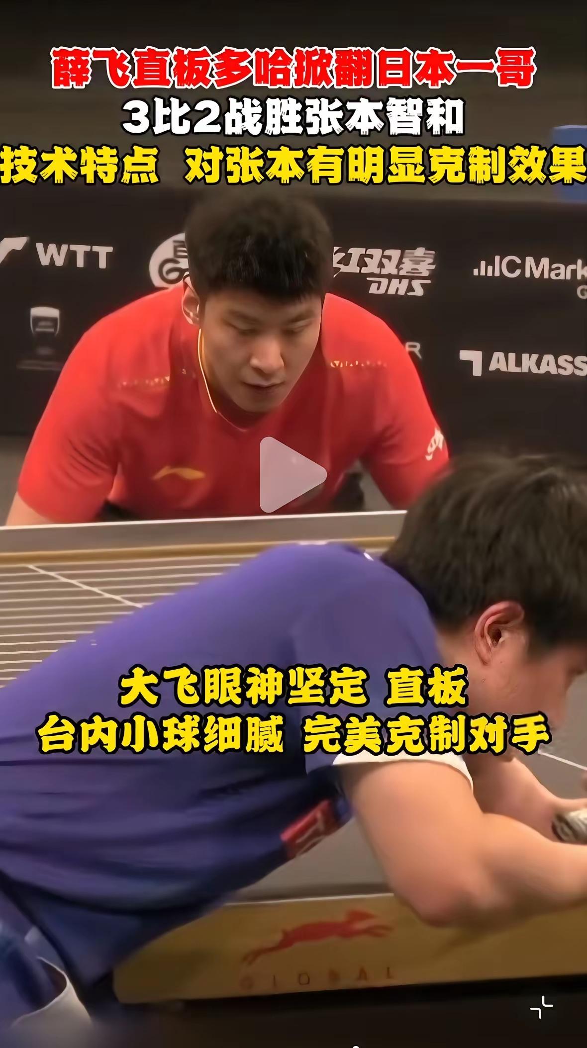 哈哈哈，果然不出我们预料，薛飞再次战胜张本智和，晋级八强，让日乒男队全军覆没，太