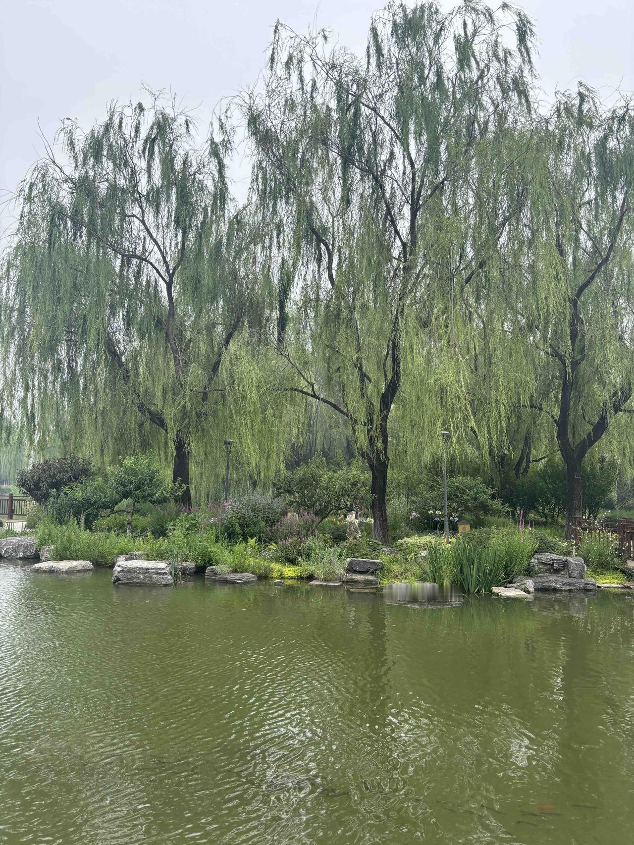 惜春容•园湖览胜
 
词林正韵·第七部
文/熏墨
碧沼涵光映翠柳，烟霞漫拢水云宽