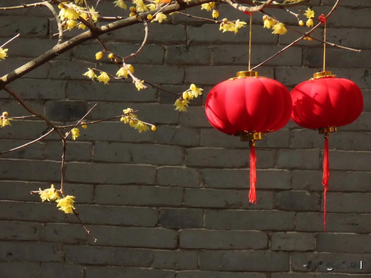 红灯笼映黄花，春意满庭芳。天一一阁