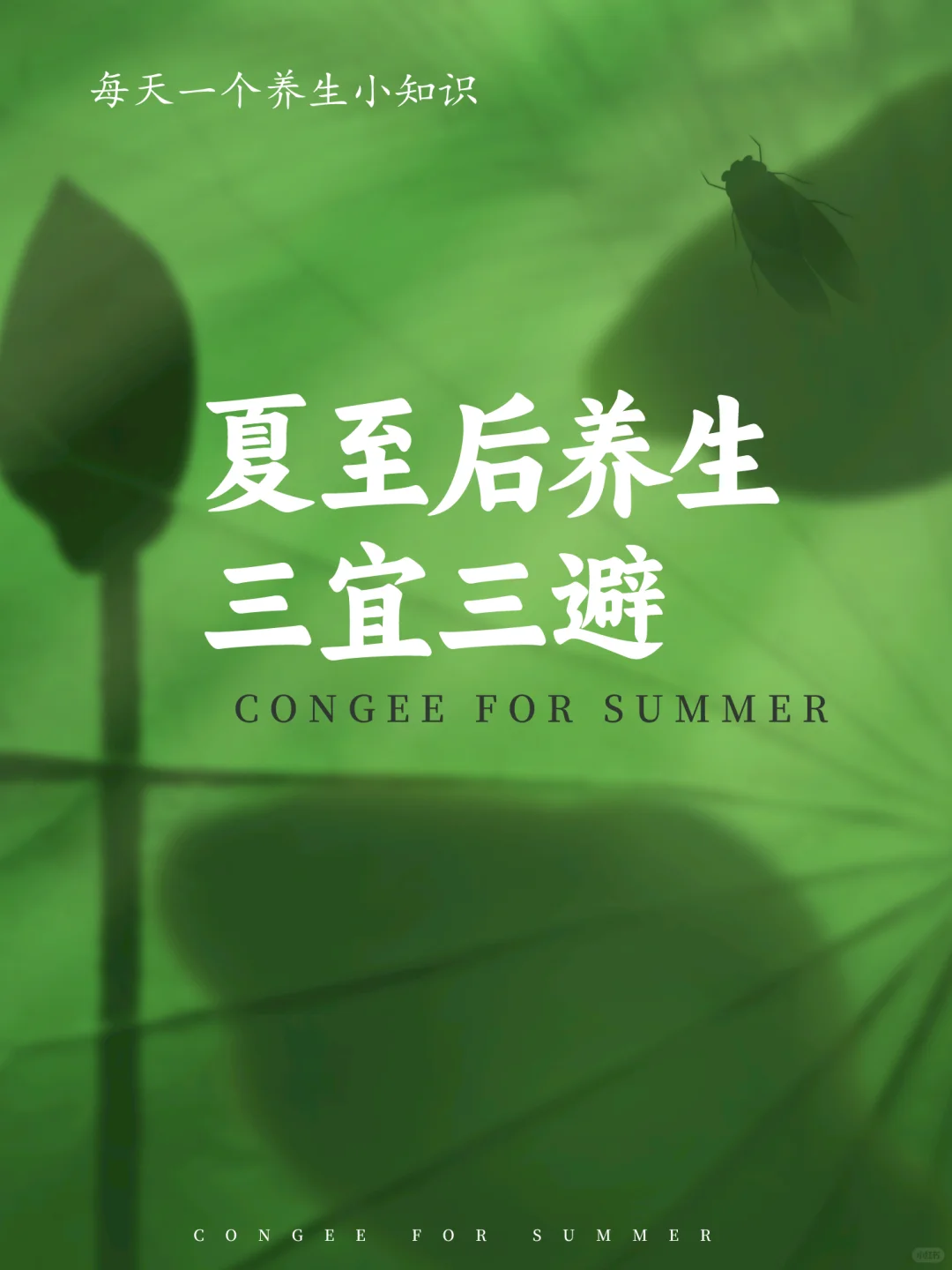 每天一个养生小知识:夏至后养生三宜三避