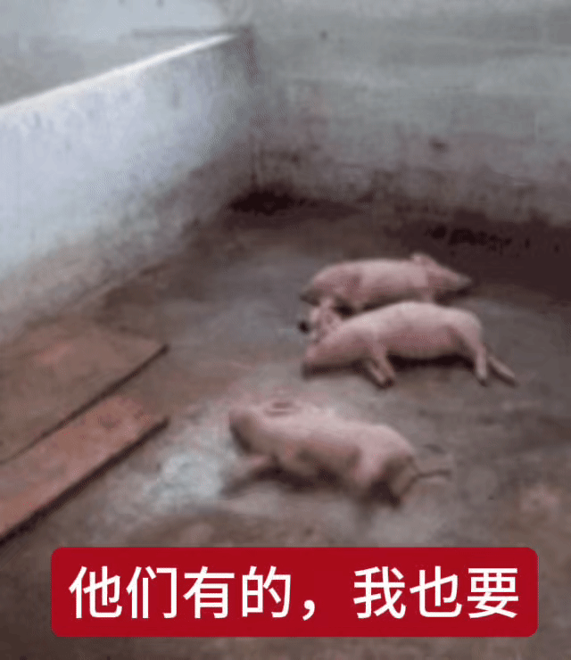 互关我觉得你们不爱我了 