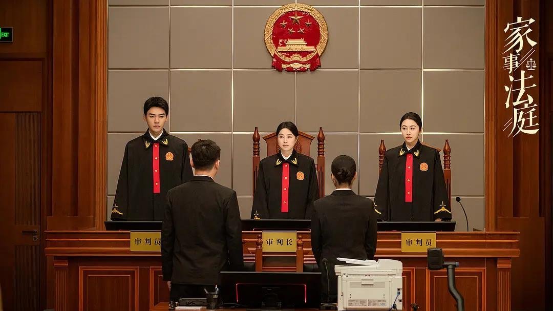 家事法庭判得出是非暖得了人心电视剧家事法庭《家事法庭》前12集，把家事的痛与暖拍