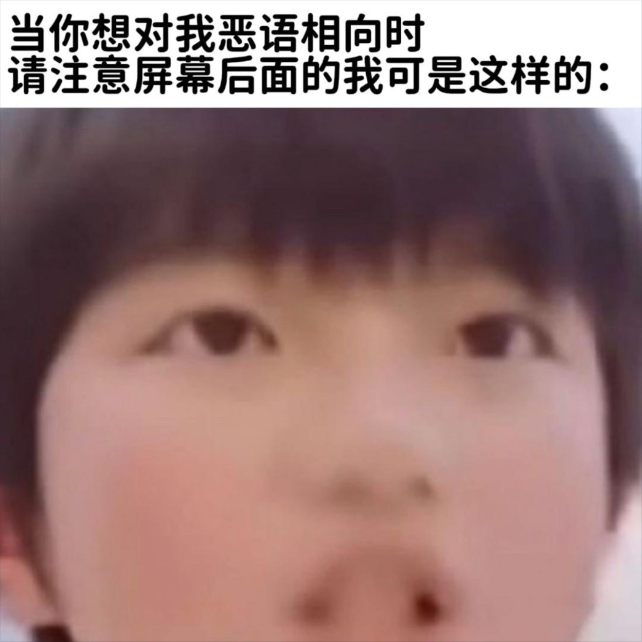 突然找到一张非常适合的表情包 