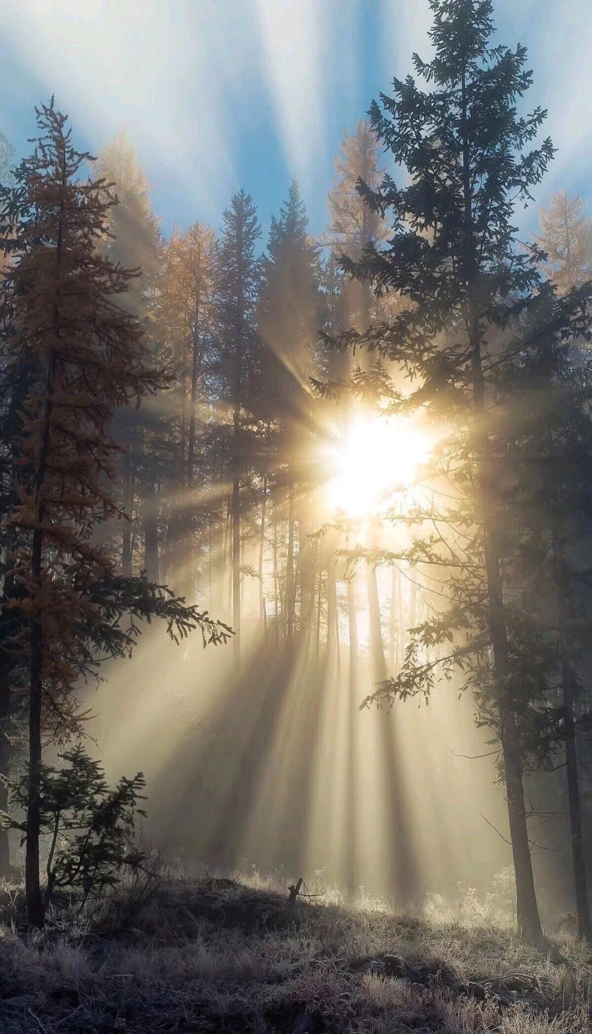 对方婚内转移财产、无故增加借条应该怎么办
夫妻共有财产 婚姻法 借条 求助法律方