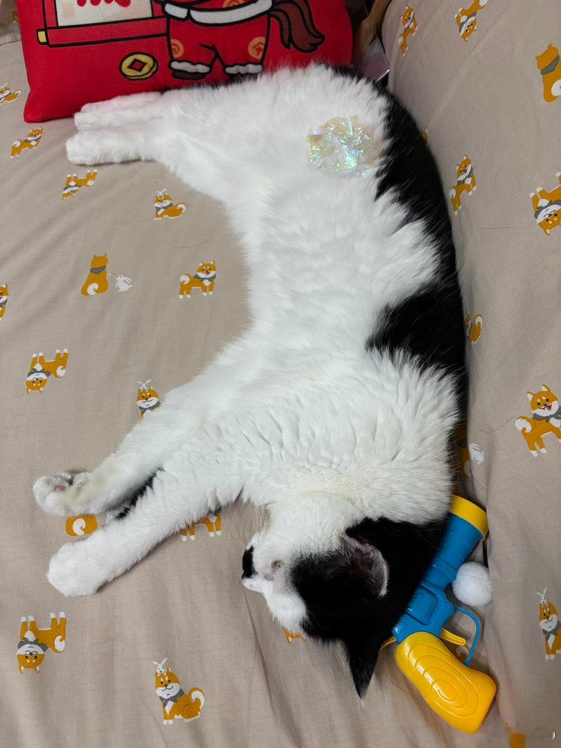 晚安💤 