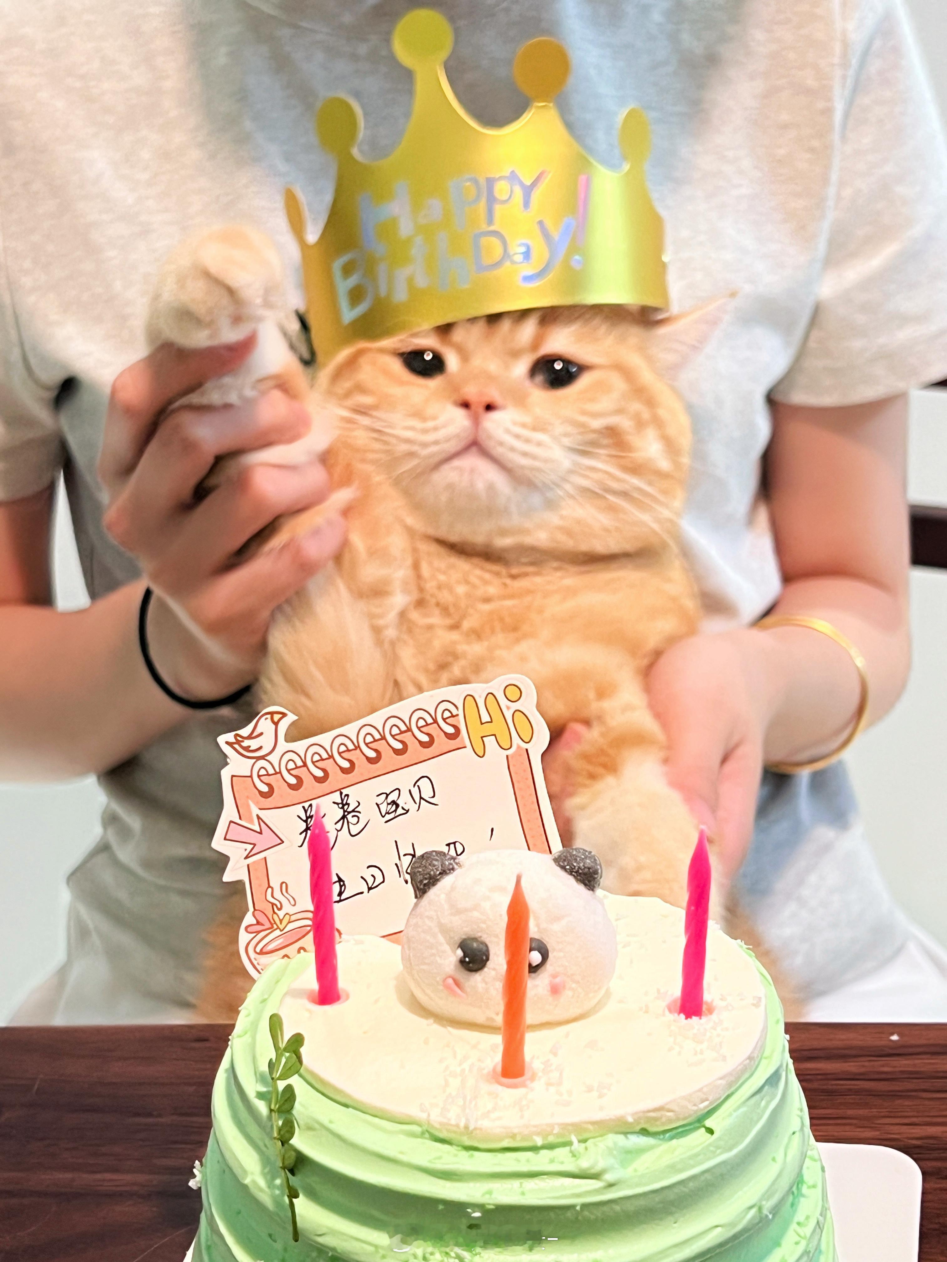 拥有你 生活的一地鸡毛变成了漫天猫毛 但没关系 妈妈爱你 ​​​