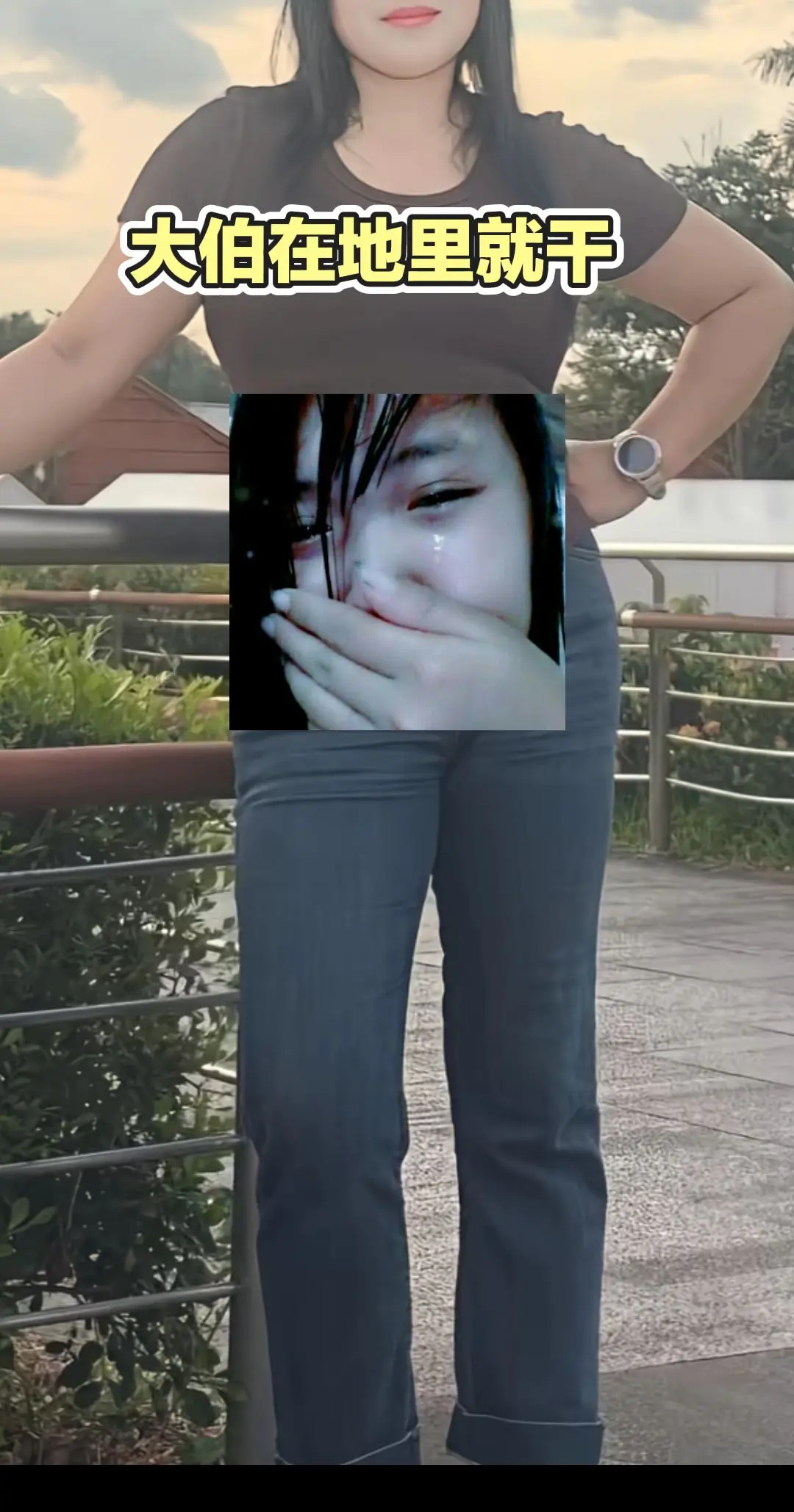 每日推文