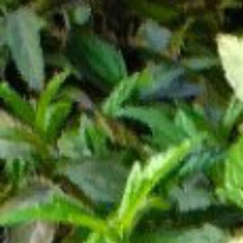 阳光信用 善良是一种美德，善良是一种远见，善良是一种自信，善良是一种精神力量，善