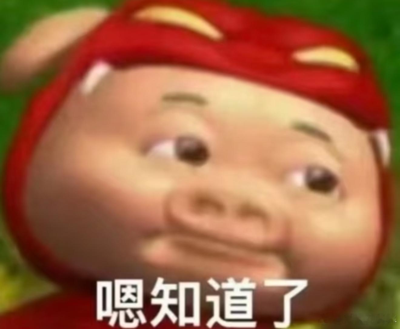 没想到逢哥是小白花，爱姐是混黑道的 