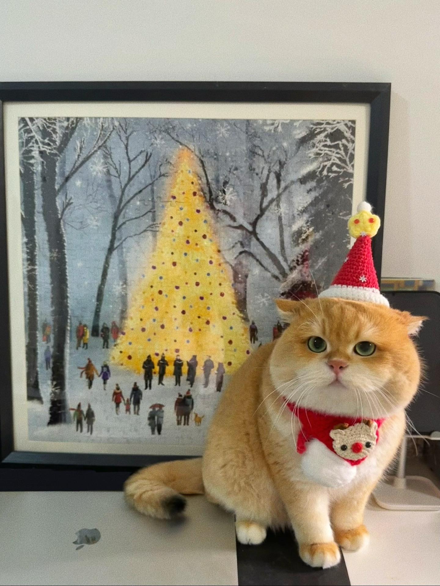 🐱🎄˖꙳◦。