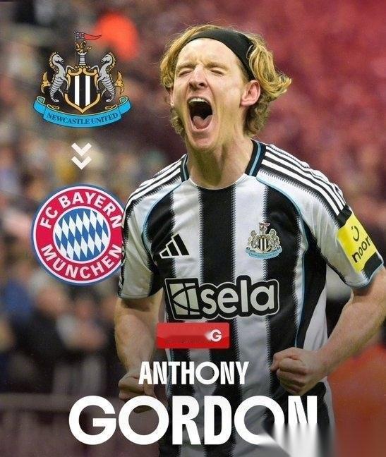 欧洲转会新闻播报！
★与凯恩会合！
拜仁在认真考虑引进25岁纽卡边锋戈登，能踢前