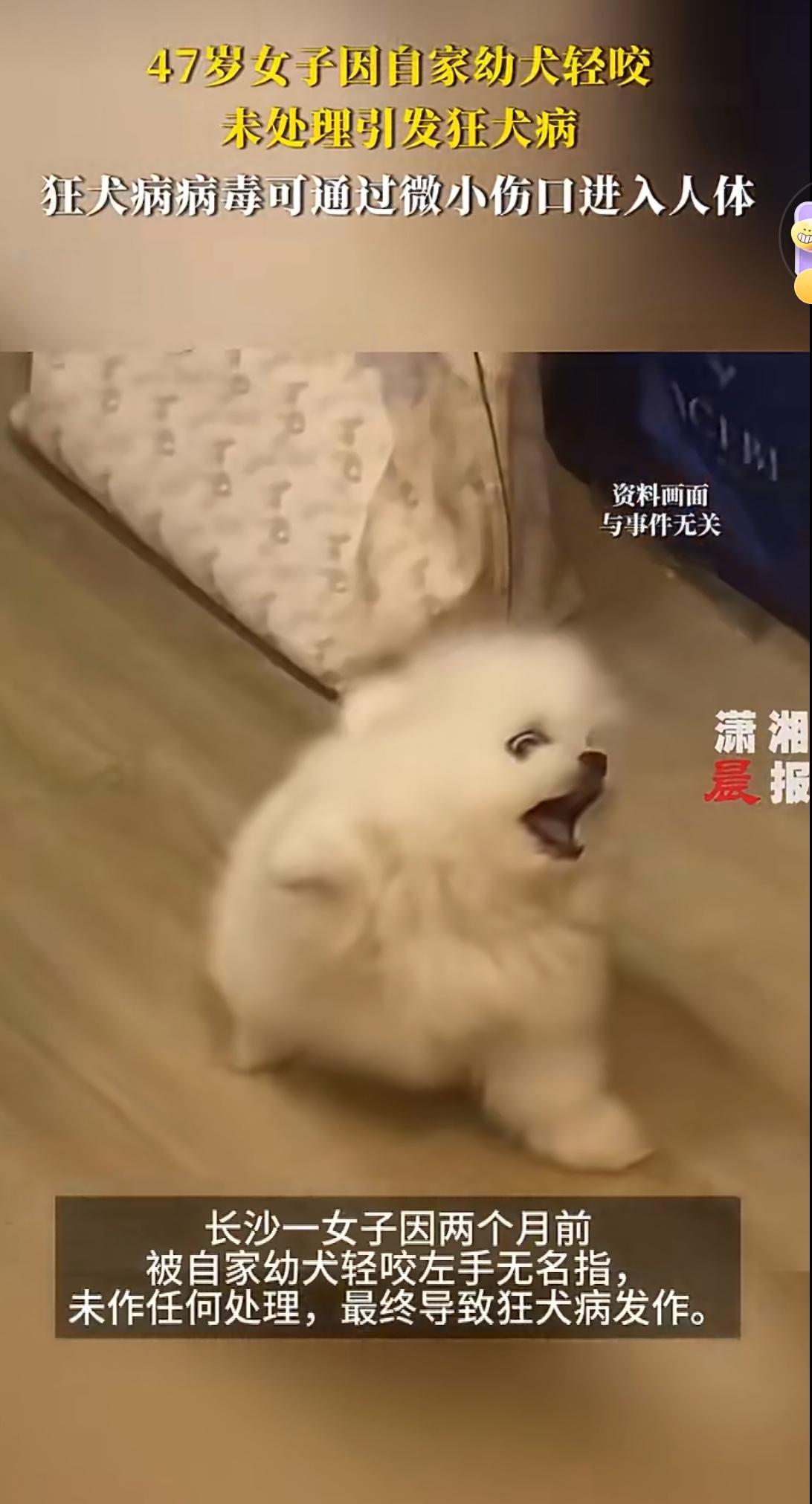 一则令人心惊的消息引发全网热议：一名女子被幼犬轻微咬伤后，因未及时处理伤口，最终