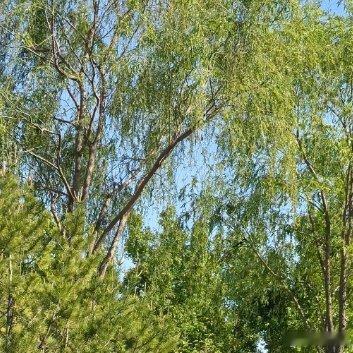 朋友圈里的点赞你发了一条动态，说今天不太开心。没过多久，陆陆续续有人点赞。你看着