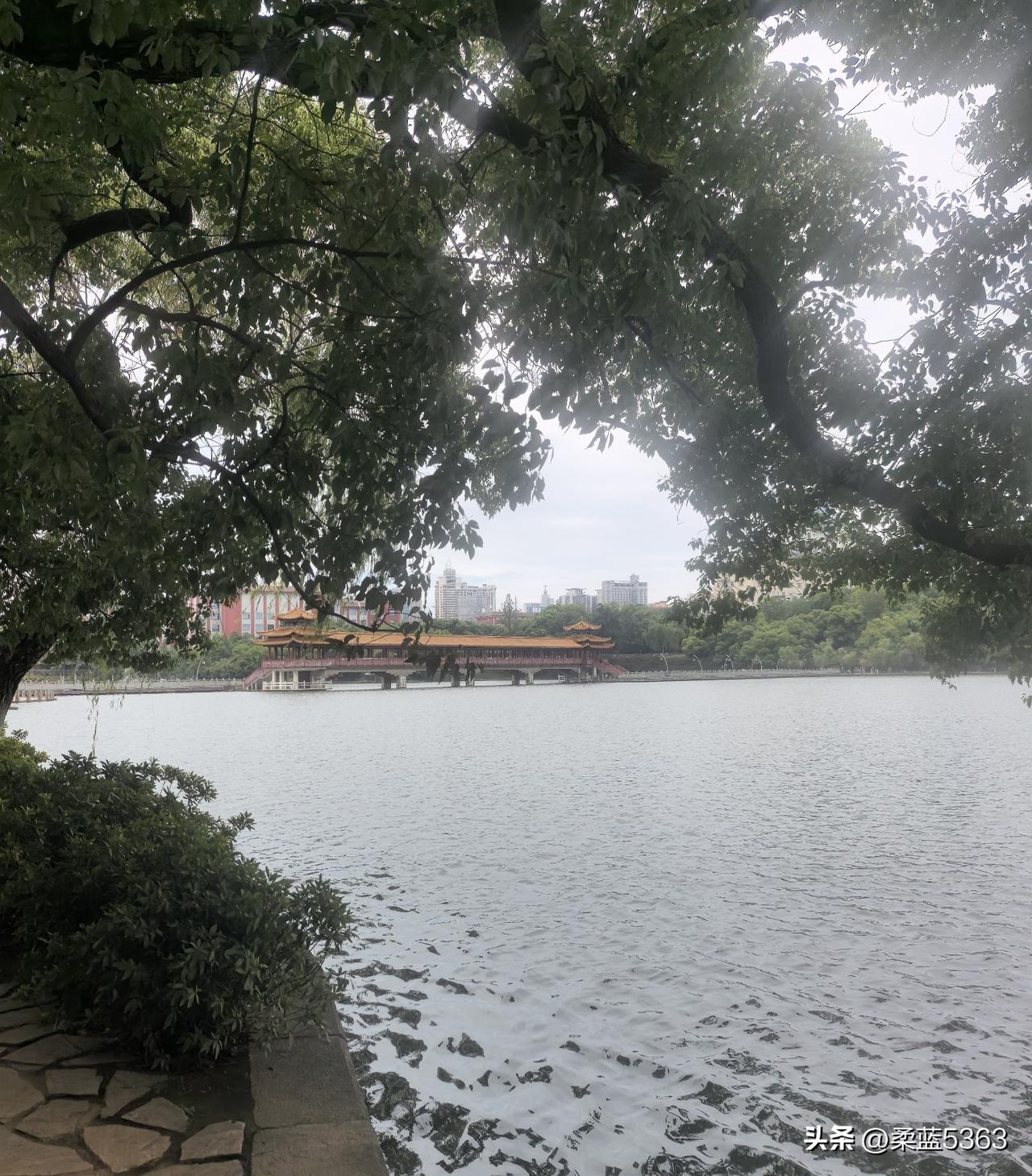 我在很年轻的时候是虚荣而野心勃勃的，就是想远离家庭，跳出圈子，改变阶层。哪怕是靠