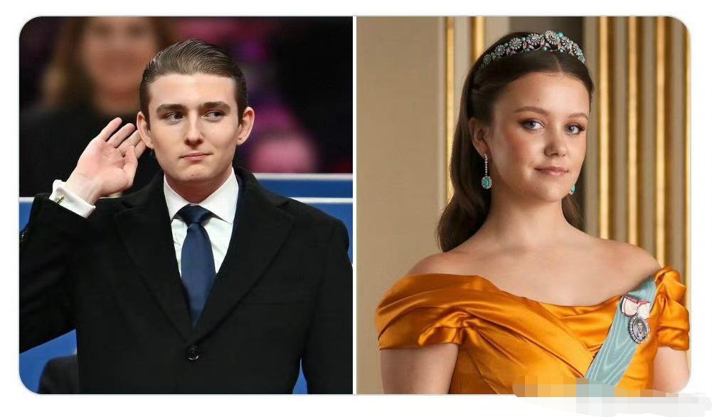 一个大胆想法，让丹麦把格陵兰岛做为陪嫁送给美国，让特朗普的小儿子巴伦迎娶丹麦公主