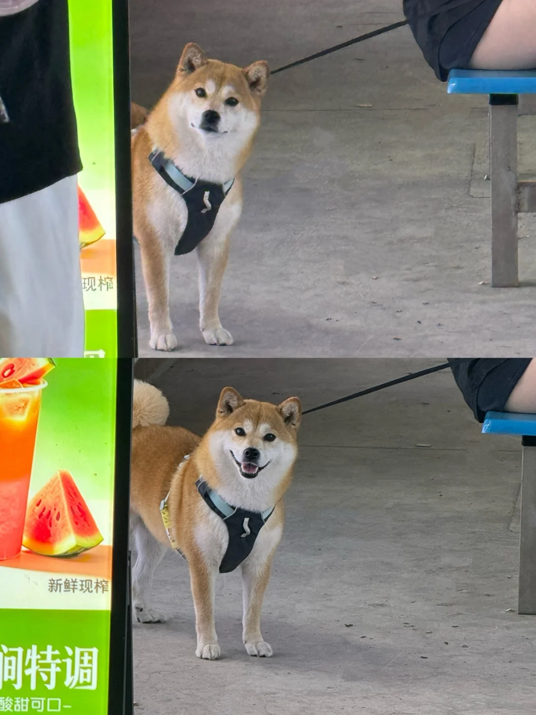 没看到麻麻vs看到麻麻