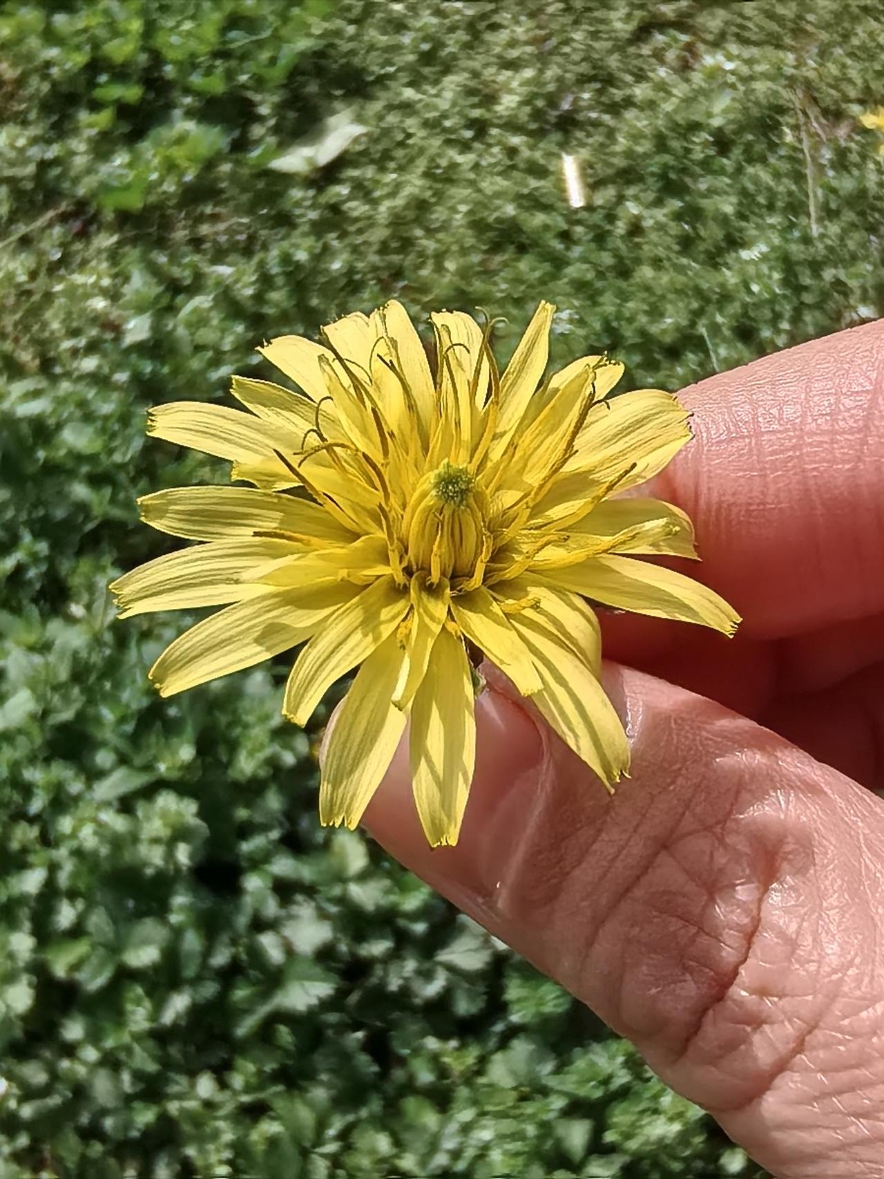 有些人仗着是体制机关的横得不行，哪怕只是里面的一个司机


昨天上班从交通局门口