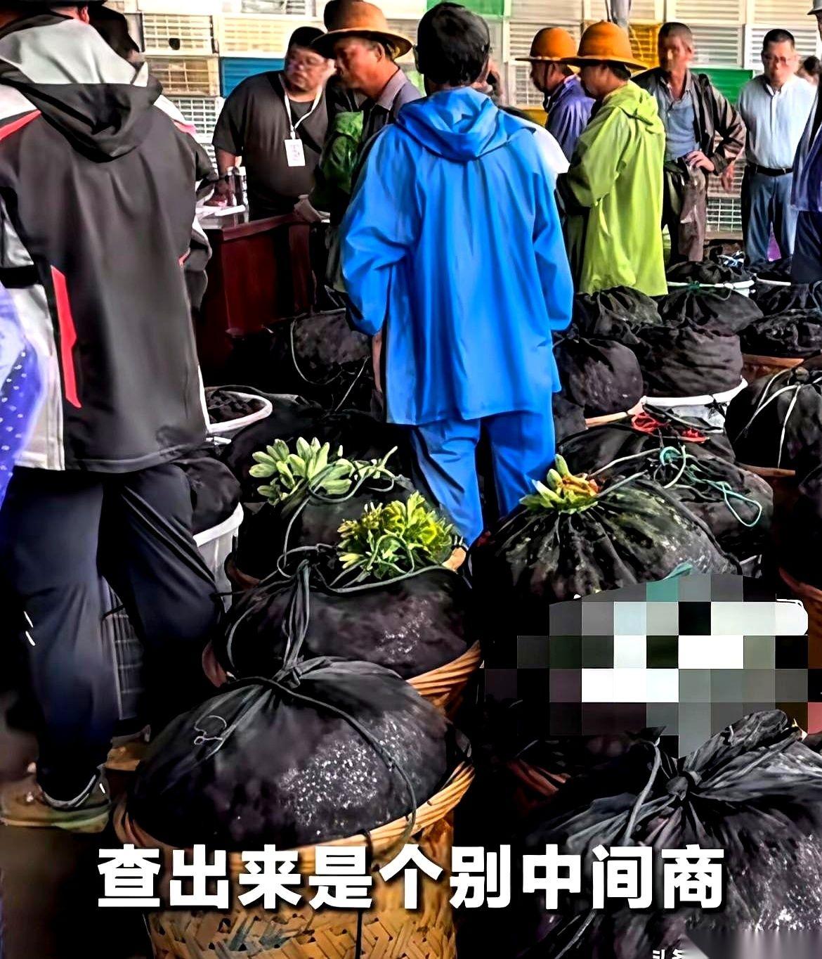 杨梅泡药水这事，果农哭着喊冤。
“我们祖祖辈辈种了700年，是个别黑心中间商干的