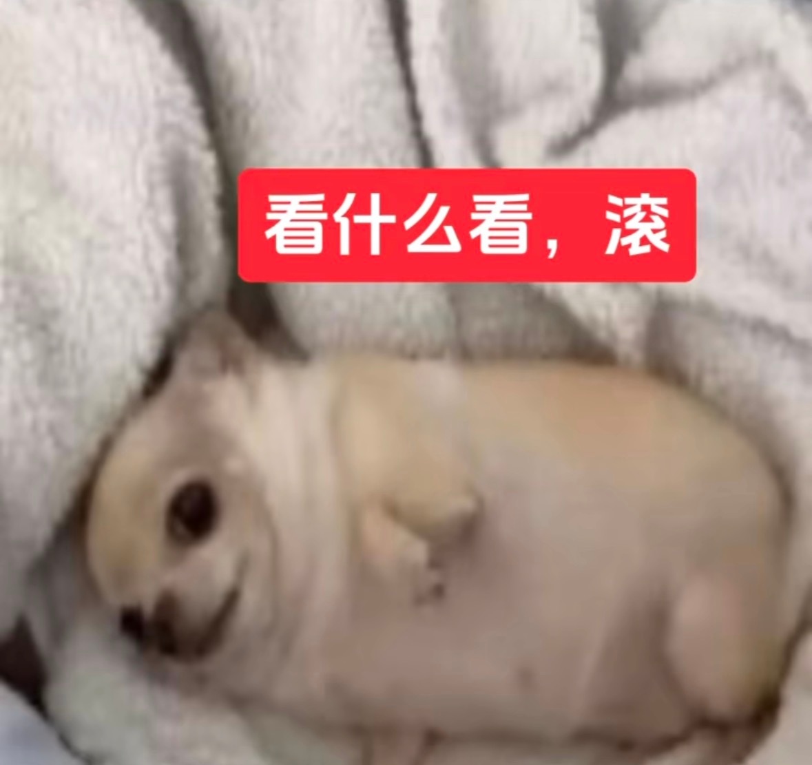 分享图片 ​​​