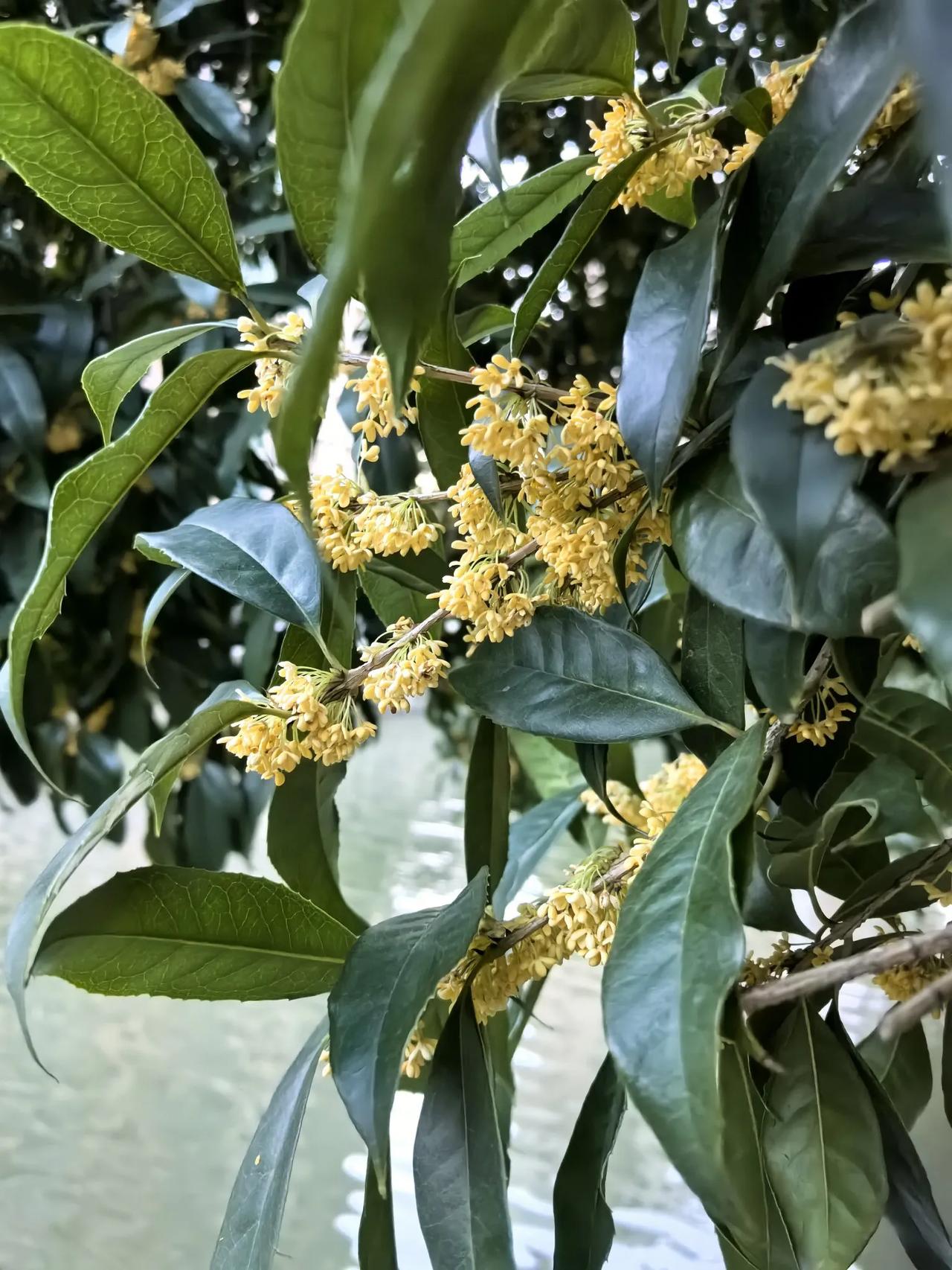 你听 
好安静