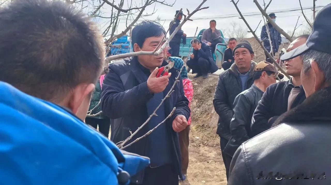 陇缘红苹果基地交果农现场讲解苹果种植技巧。