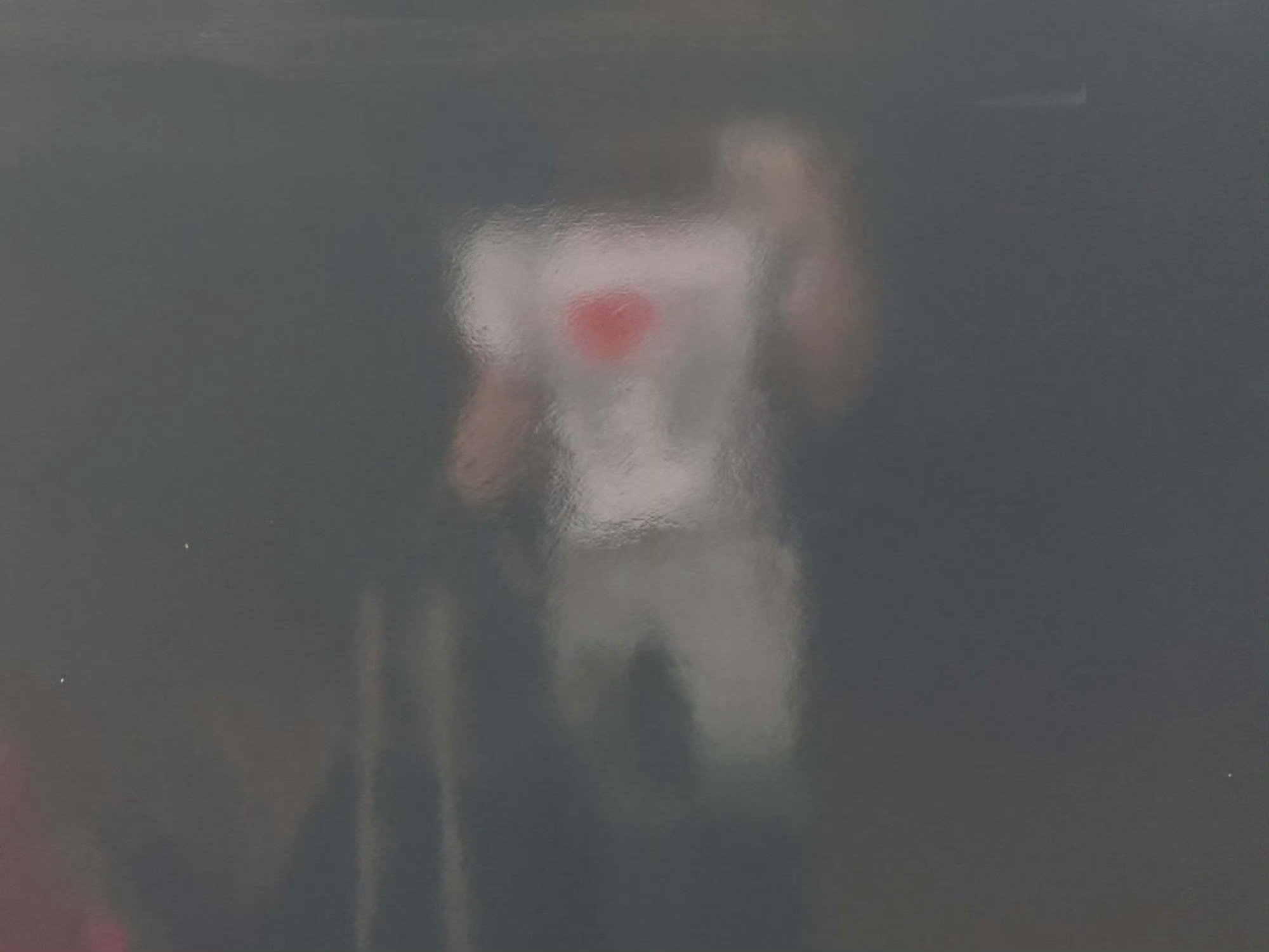 妈妈好大的扔子 