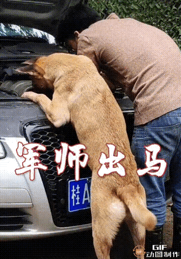 图一：怎么搞都搞不好，不得以汪师傅决定亲自出生了。
图二：沙漠里面旅游，来看沙子