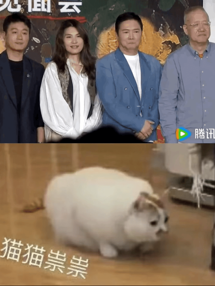 《玫瑰的故事》属于把“女主”“男主”这个概念从恋爱关系里解放出来了。传统剧：谁和