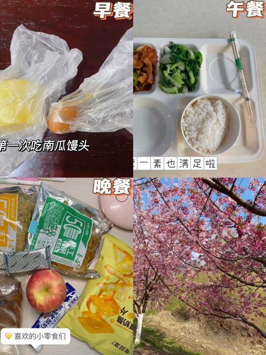 📅3.11｜ 好好吃饭｜今天去拍照啦～
